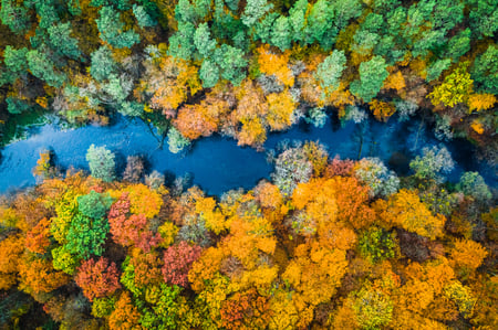 yellow-forest-in-autumn-and-blue-river-view-from-2022-04-04-22-51-59-utc-scaled